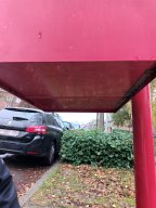 Lettre à Saint-Nicolas - Champis et Lapins